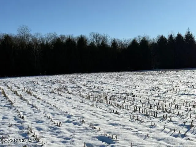 0 County Rd 2, Liberty Center, OH 43532 - Image #3