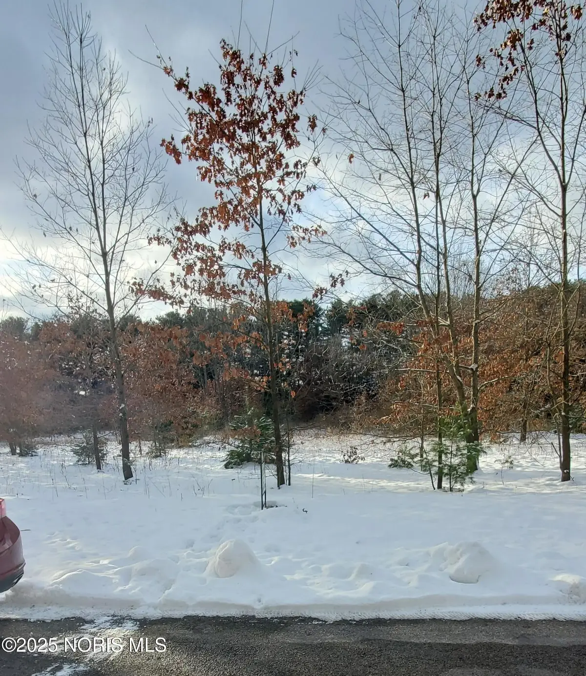 5050 Manore Road, Swanton, OH 43558 - Image #1