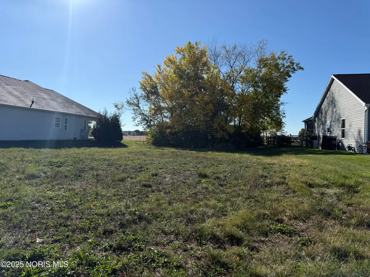 11159 Whitetail Way, Whitehouse, OH 43571 - #1