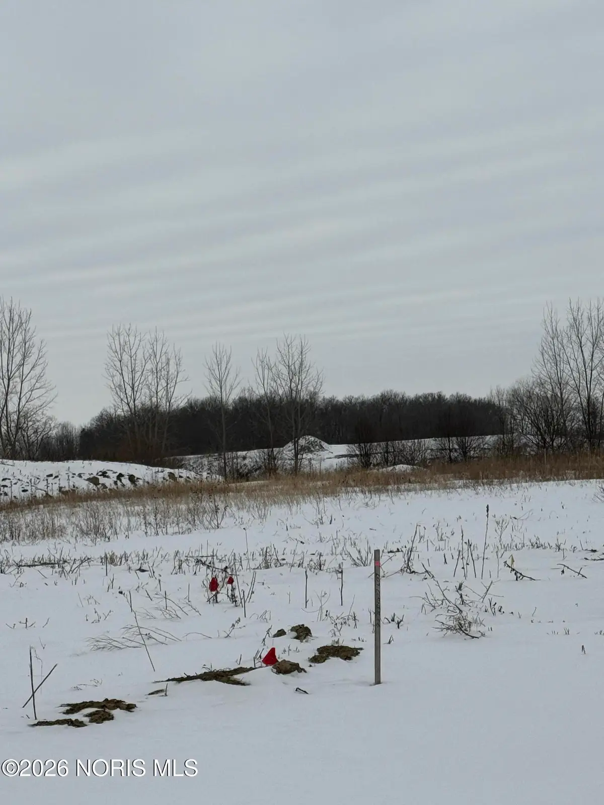 9252 Summer Song Lane, Sylvania, OH 43560 - Image #1