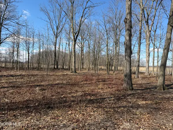 Elmwood Drive, Sherwood, OH 43556