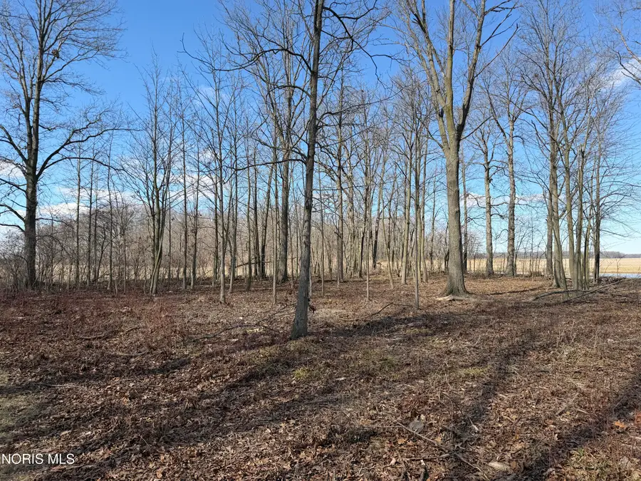 Elmwood Drive, Sherwood, OH 43556 - #2