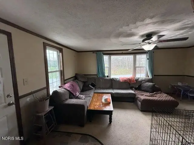 98 Adams Street, McCutchenville, OH 44844 - #3