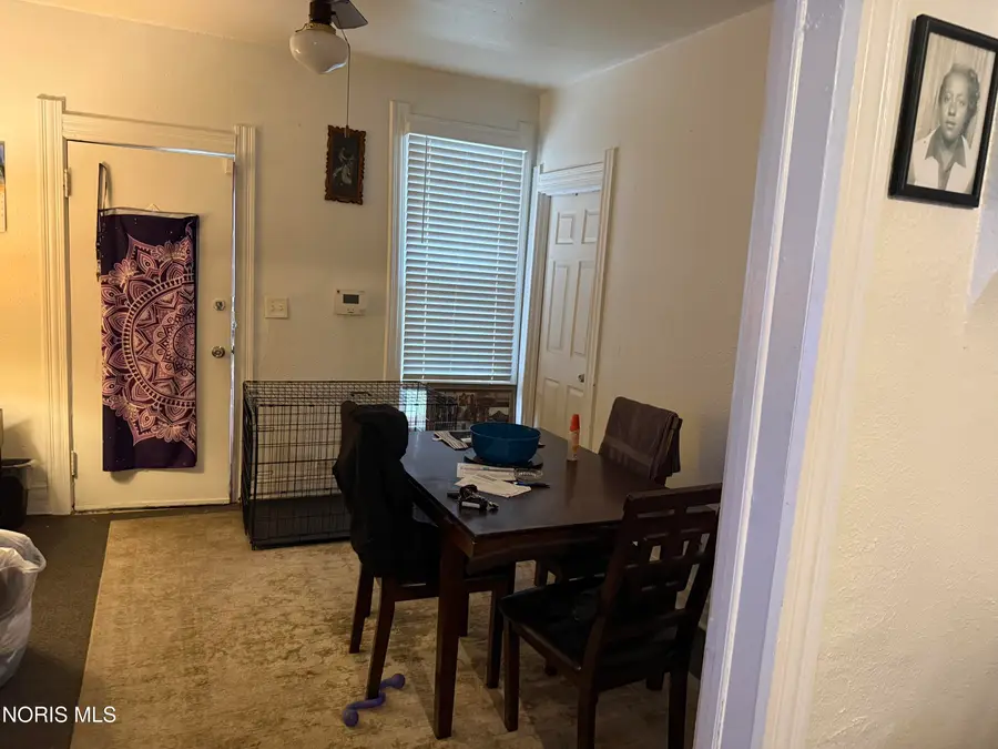 226 E Park Street, Toledo, OH 43608 - #3