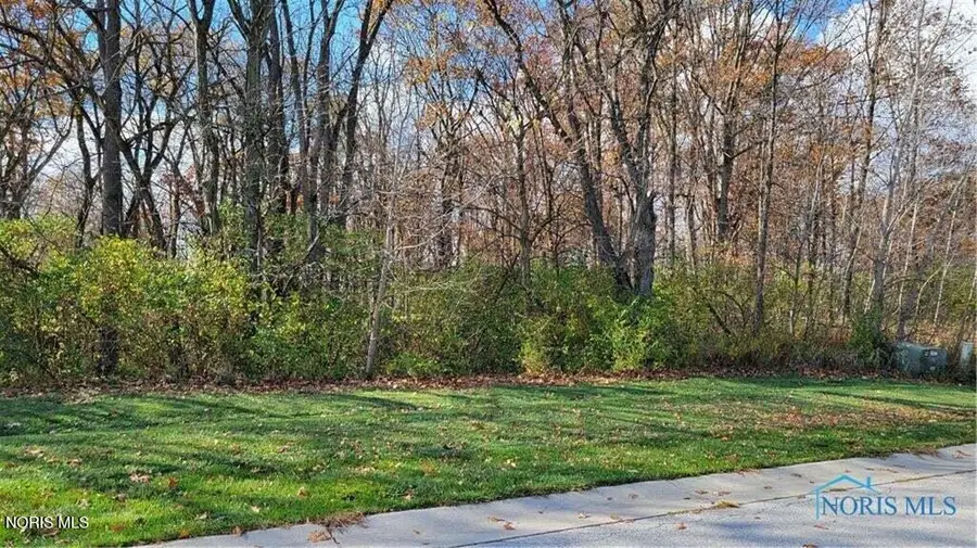 1013 Reserve Drive, Perrysburg, OH 43551 - #3