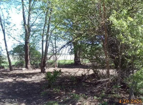 5678 Co Rd 55, Gibsonburg, OH 43431 - #2