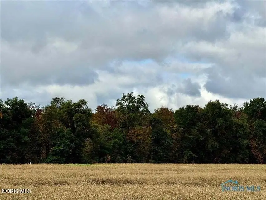 0 Switzer Road, Defiance, OH 43512 - #2