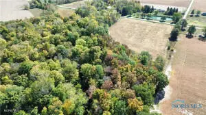 0 Ney Williams Center Road, Ney, OH 43549 - #2