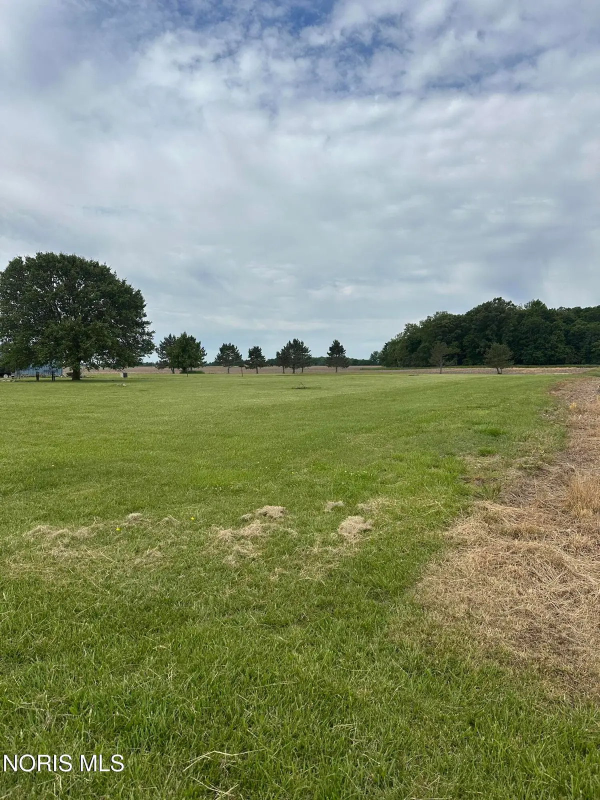 9766 Township Highway 79, Wharton, OH 43359 - #1