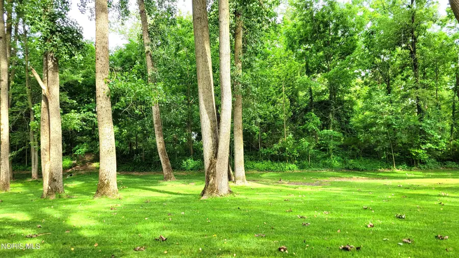 Lakeshore Drive, Pioneer, OH 43554 - #3