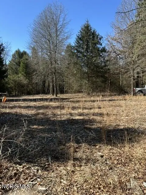 4655 Whitehouse Spencer Road, Monclova, OH 43542 - #2
