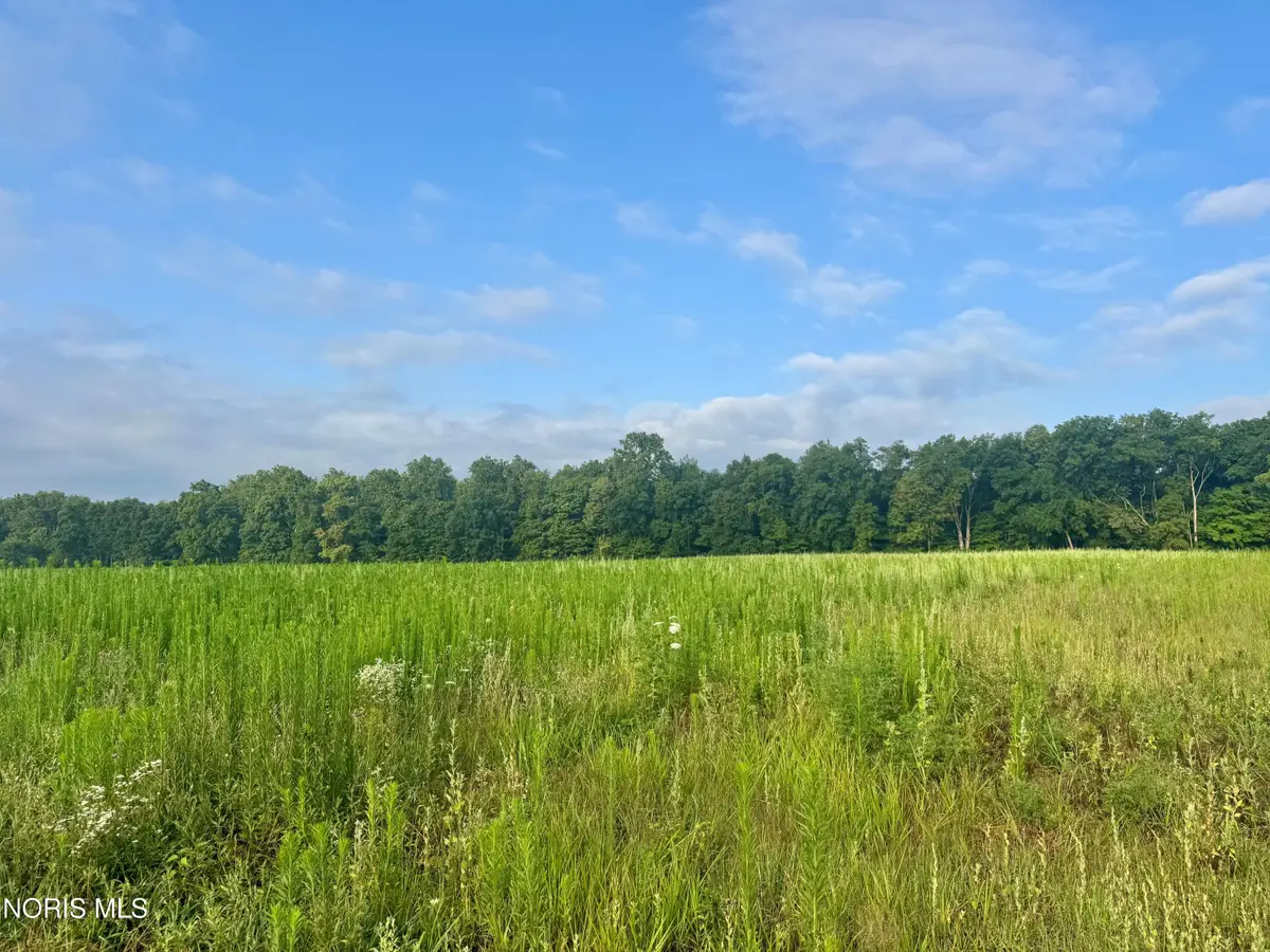 County Road 12, Bryan, OH 43506 - #1