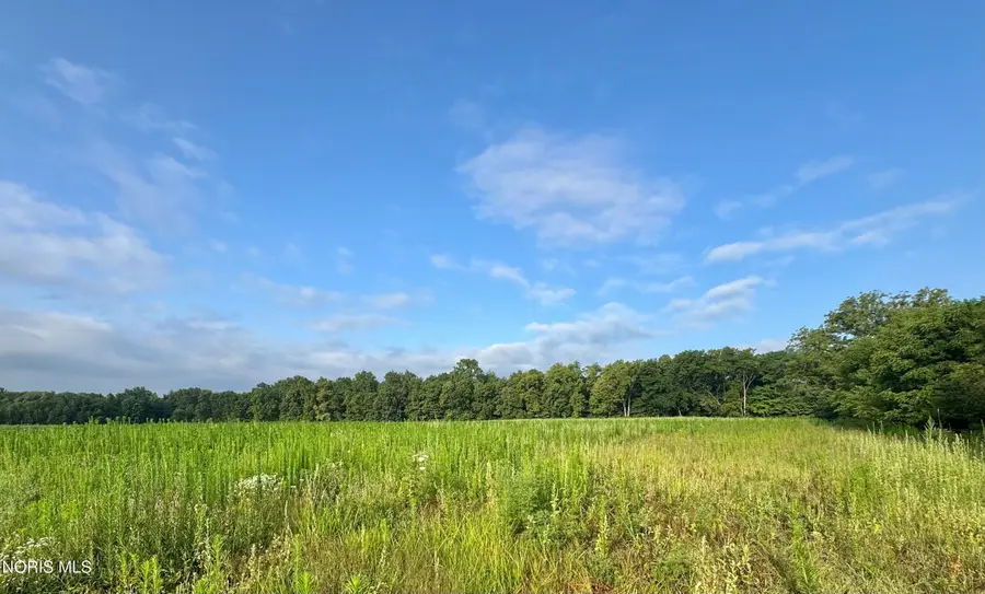 County Road 12, Bryan, OH 43506 - #3