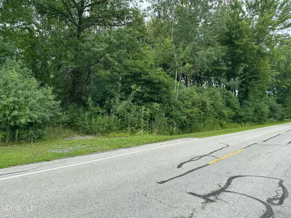 290 S Eber Road, Swanton, OH 43558