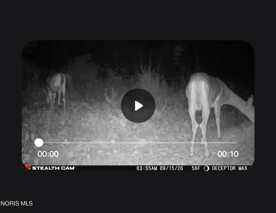 0 Road 19a, Continental, OH 45831 - #3