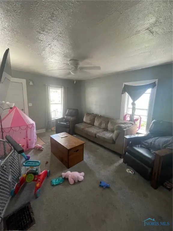 3907 Lagrange Street, Toledo, OH 43612 - Image #3