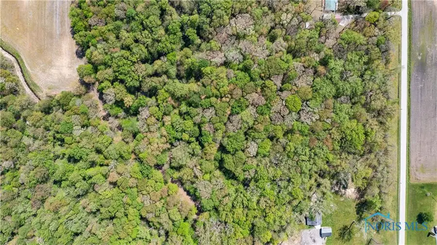 0 Manore, Lot A Road, Grand Rapids, OH 43522 - Image #3