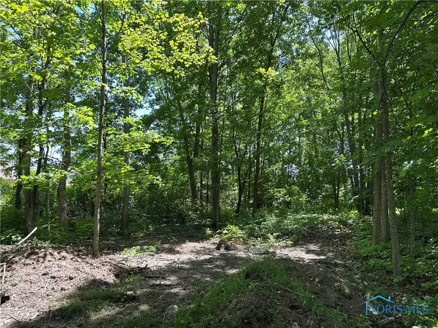 John Avenue, Montpelier, OH 43543 - Image #2