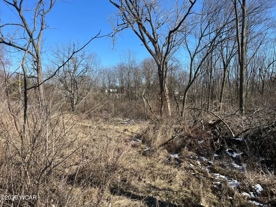 0 Spring Street, Saint Johns, OH 45884 - #2