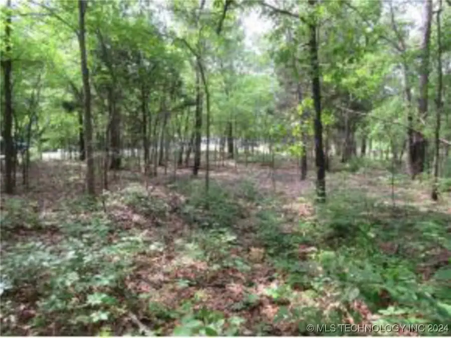 309 Bower Road, Eufaula, OK 74432 - Image #3