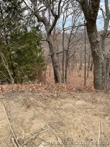 Oakridge Drive, Sand Springs, OK 74063 - Image #2