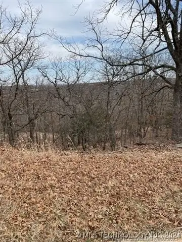 Oakridge Drive, Sand Springs, OK 74063 - Image #3