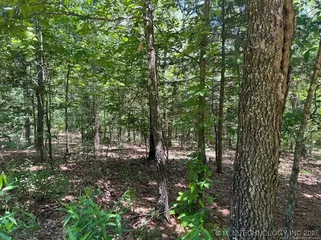 S 4409, Locust Grove, OK 74352 - #1