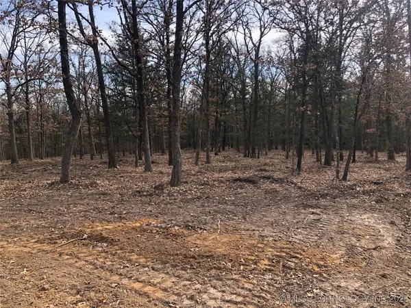 Palomino Lane, Kingston, OK 73439