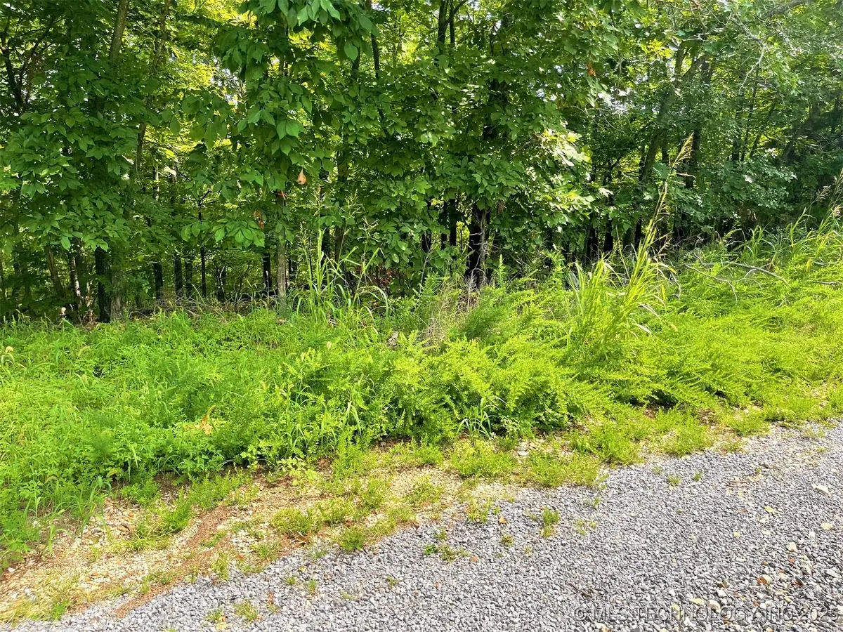 W Canyon Rock Road, South Cherokee, OK 74427 - #1