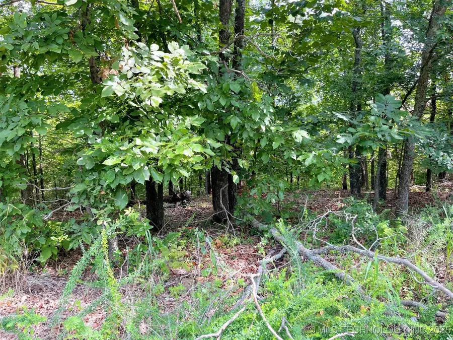 W Canyon Rock Road, South Cherokee, OK 74427 - #3