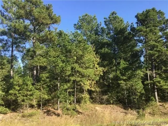 000 Merry Highway, Wright City, OK 74766 - #3