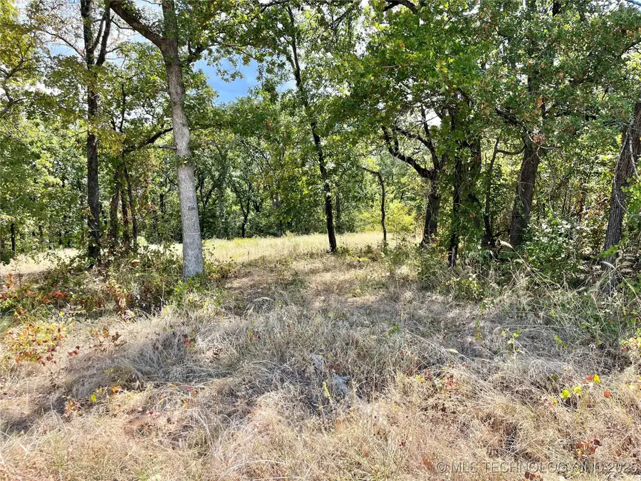 Texoma Park Road, Kingston, OK 73439 - #2