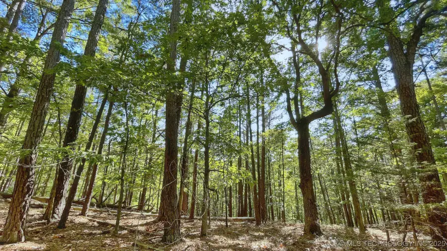 2413 Cypress Point Court, Kansas, OK 74347 - #2