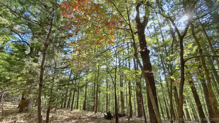 2413 Cypress Point Court, Kansas, OK 74347 - #3