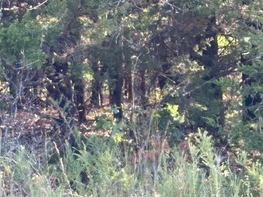 8017 W Jade, Agra, OK 74824 - Image #2