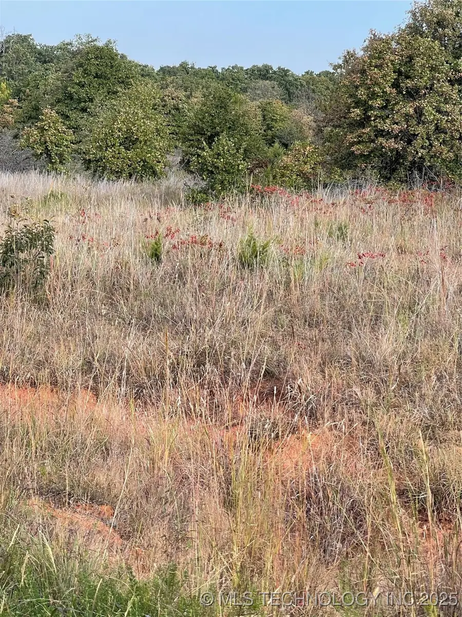 2616 S Mckenzie, Agra, OK 74824 - Image #3