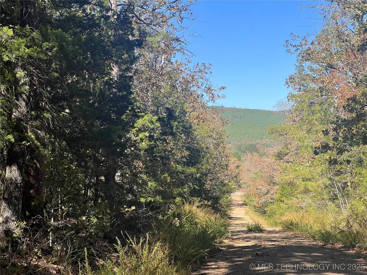 State Hwy 71, Clayton, OK 74536 - Image #1