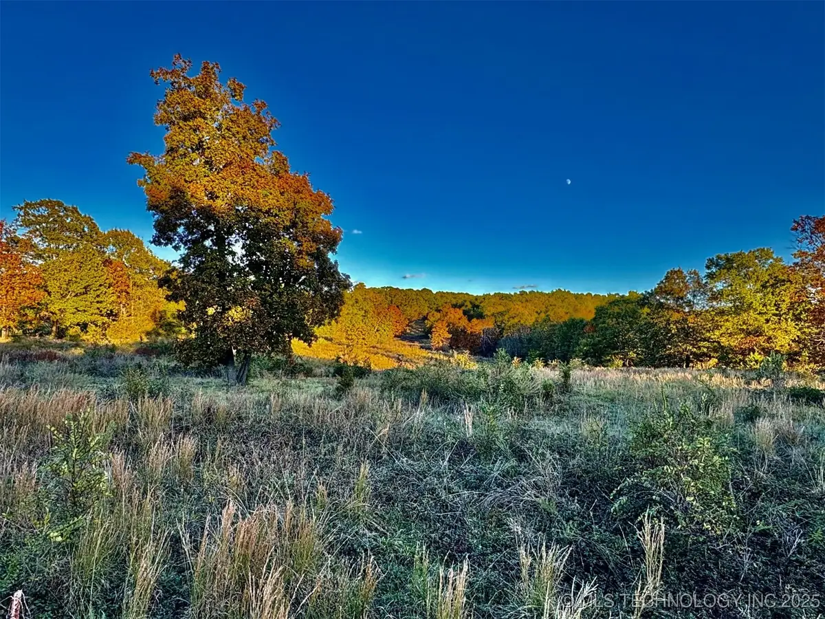 S Welling Road, Welling, OK 74471 - Image #1