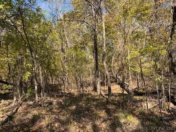 687 Road, Locust Grove, OK 74352