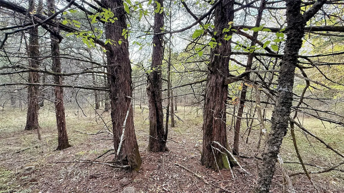 30000 Hummingbird Lane, Cookson, OK 74427 - Image #1