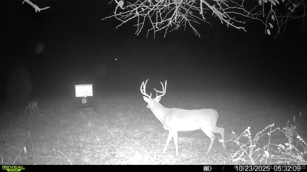 N 386, Stuart, OK 74570 - Image #1