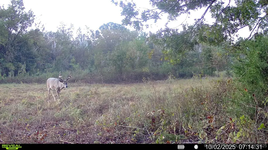 N 386, Stuart, OK 74570 - Image #2