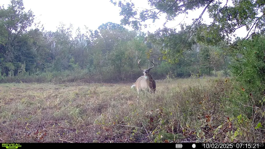 N 386, Stuart, OK 74570 - Image #3