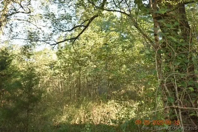 Tyler Road, Madill, OK 73446 - Image #2