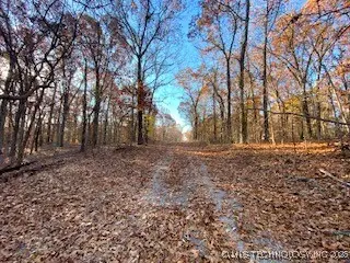 Oakridge, Spavinaw, OK 74366 - #2