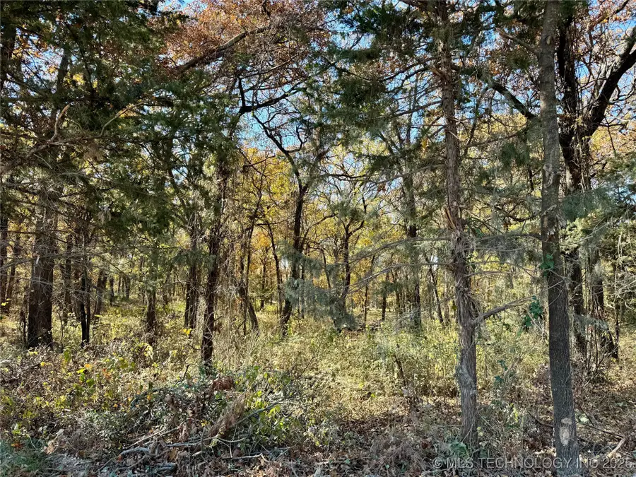 4863 Cobb, Kingston, OK 73439 - Image #2