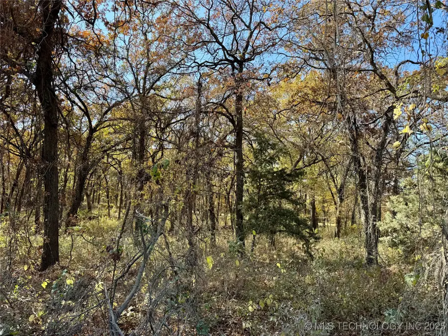 4863 Cobb, Kingston, OK 73439 - Image #3