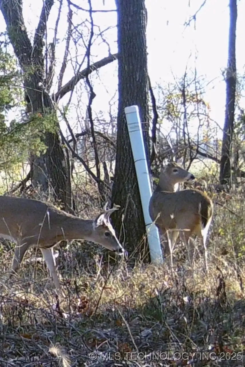 E 140th Road, Miami, OK 74354 - Image #2