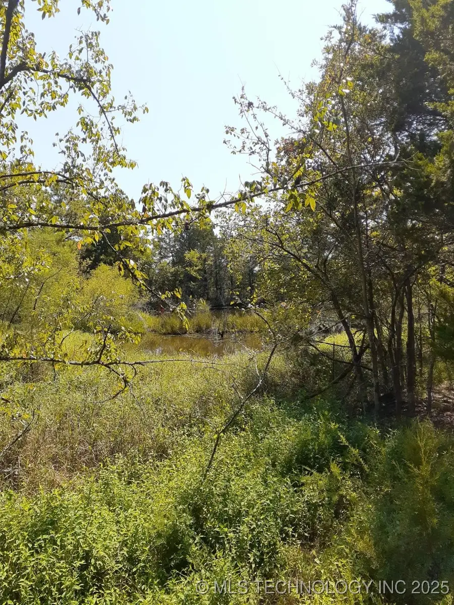 Cooper Bend, Kinta, OK 74552 - Image #3