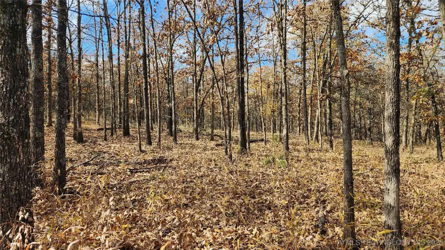 427640 E 290 Road, Chelsea, OK 74016 - Image #2